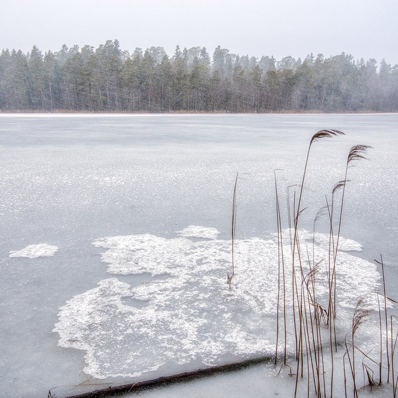 В метельphoto preview