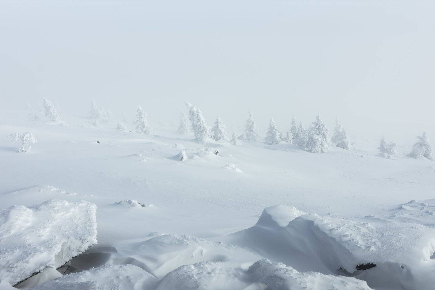 *******. Автор: Андрей Шарапов , Андрей Шарапов