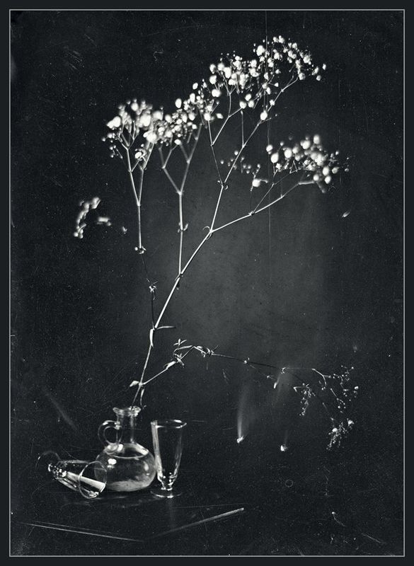 Весна в графинеphoto preview