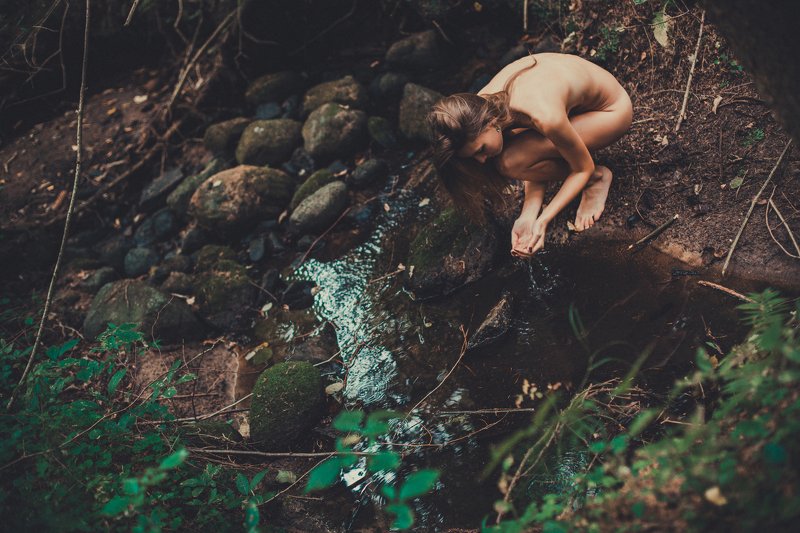 forest eroticphoto preview