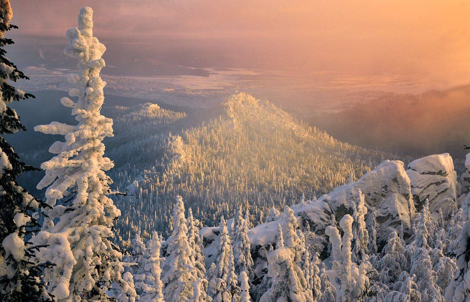 Автор: Клековкин Алексей , Клековкин Алексей