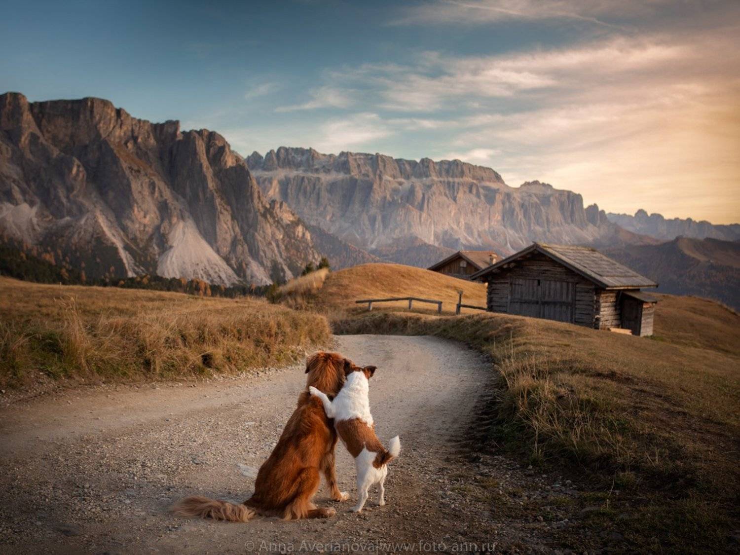 , Анна Аверьянова