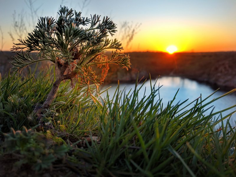 закат,весна,пейзаж,краски,зелень,солнце,небо,река,рекаднепр,landscape,сюжет,природа,nature,sky ***photo preview