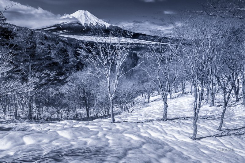 Fuji,mountain,Japan,snow,spring,morning,trees,wonderful,beautiful Snowy morningphoto preview