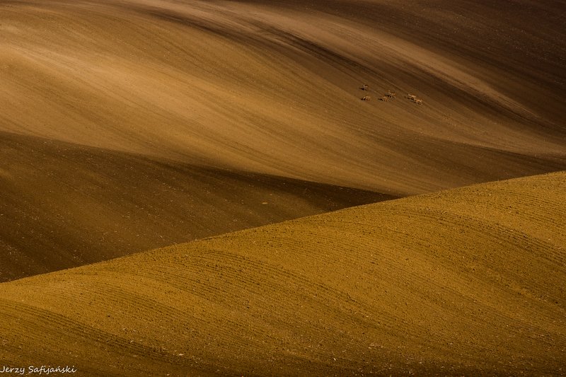 I walk around Moraviaphoto preview