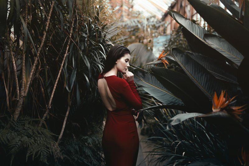 red dress beauty Monikaphoto preview