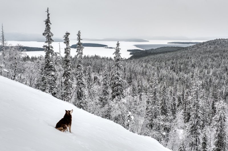 заполярье, зимний пейзаж, fujifilm Заполярье.photo preview