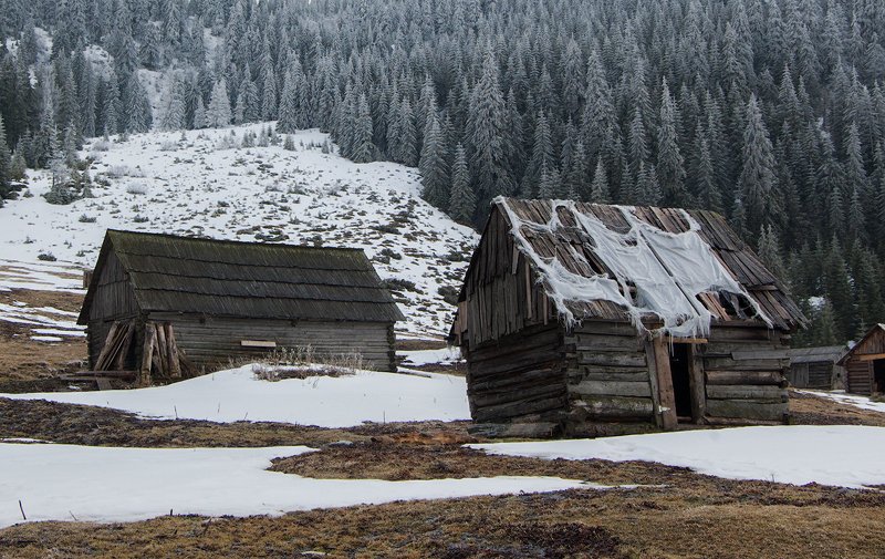 Мартphoto preview