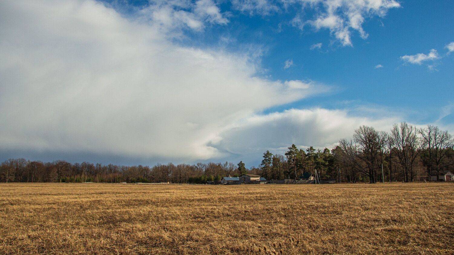 пейзаж, кулебаки, landscape, весна, spring, день, day, солнце, sun, небо, поле, облака, field, heaven, clouds, Владимир Васильев