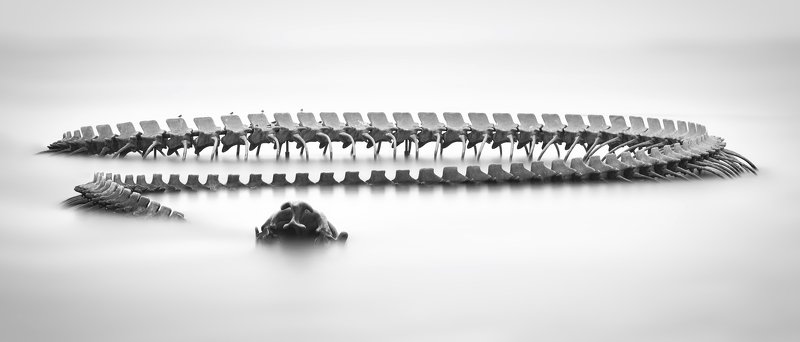 Serpent d\'océan 2photo preview