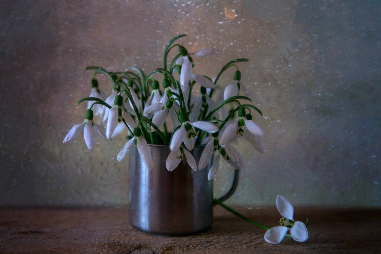 Подснежники. Автор: Елена Брежицкая подснежники,весна,натюрморт, Елена Брежицкая