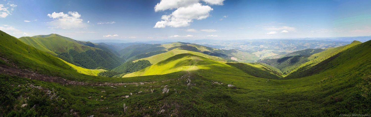 Карпаты, Украина, Боржава, лето, Алексей Медведев