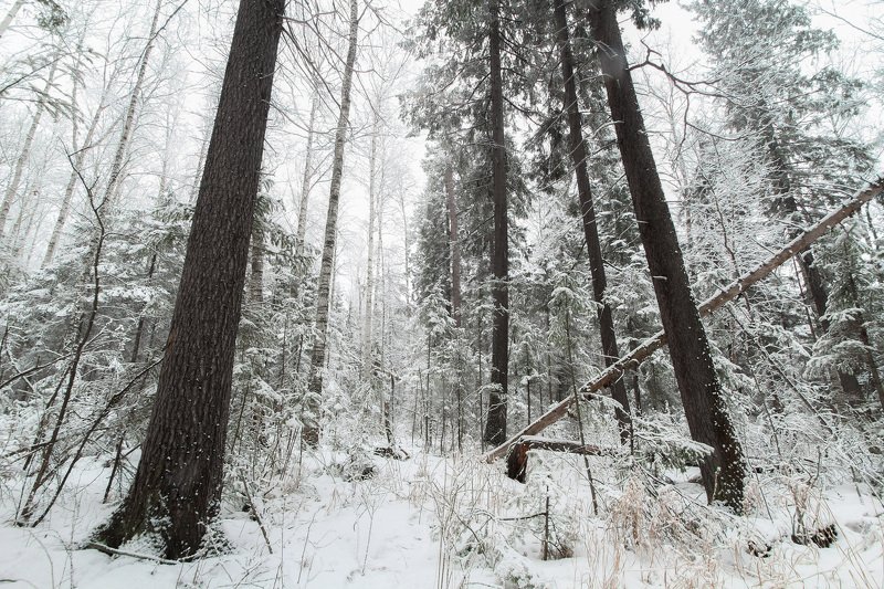 После снегопадаphoto preview