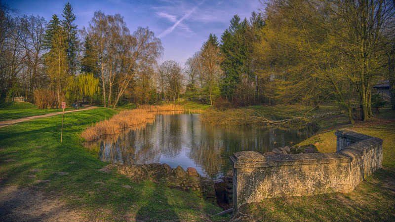 Spring is comingphoto preview