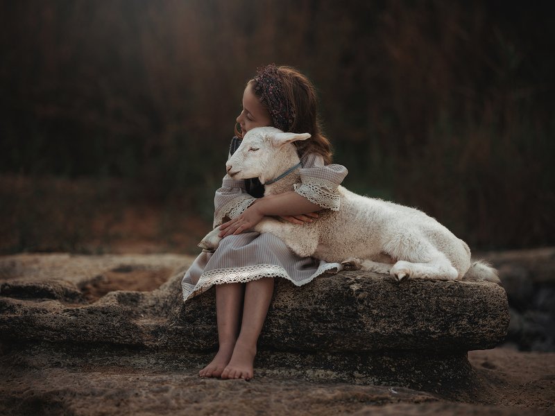 портрет, дагестан, овца, барашек Дагестанкаphoto preview