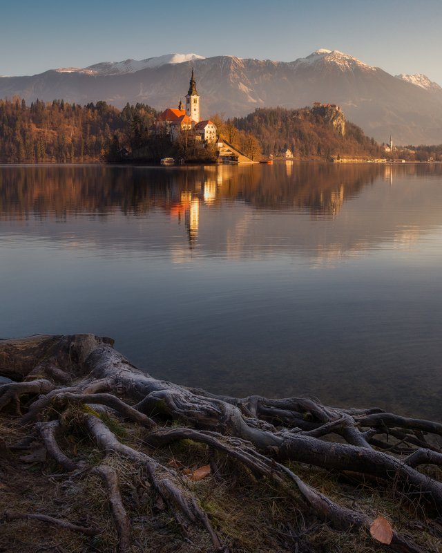 утро, вода, рассвет, отражения, церковь, Словения, Блед, озеро Корни озера Бледphoto preview