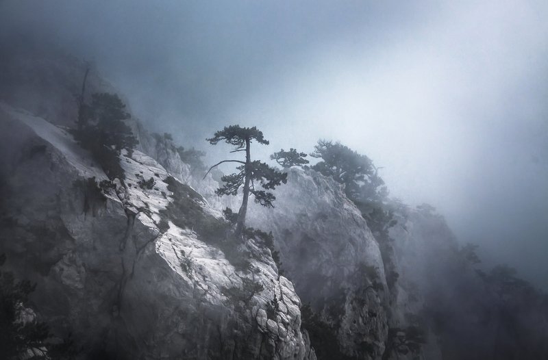 Природа россииphoto preview