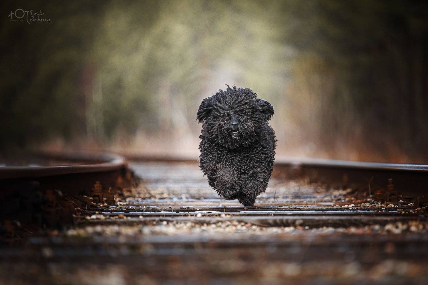 Мама,я лечуууууу!. Автор: Наталия Поникарова , Наталия Поникарова