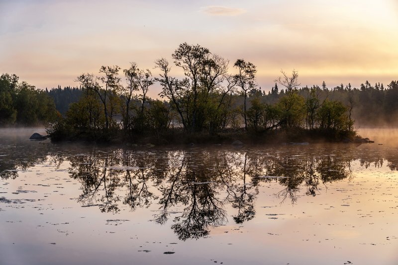 соловки, соловецкие острова, остров, утро, туман, озеро нижний перт, вода, отражение, восход, деревья, ник васильев, , Утро Нижнего Перта.photo preview