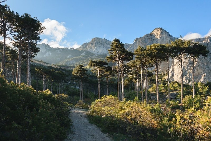 Крым Вечер у Шаан-Каяphoto preview