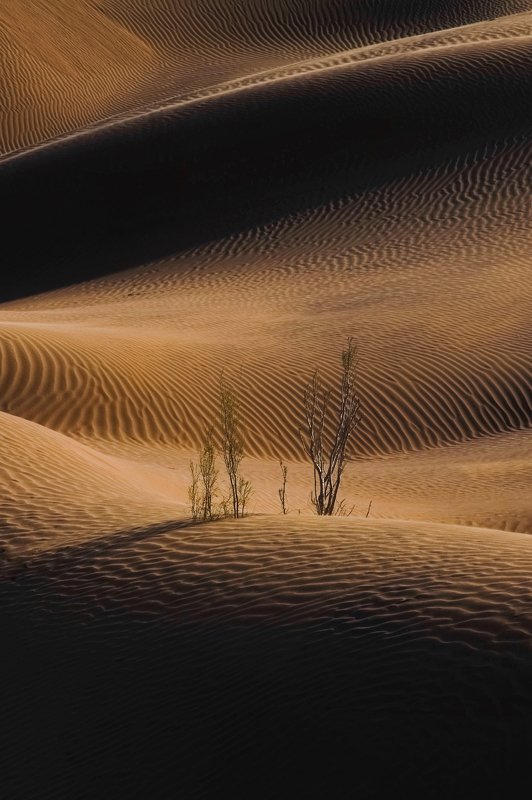 #desert #forms #landscape Shadow And Lightphoto preview