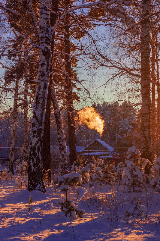 В вечернем светеphoto preview