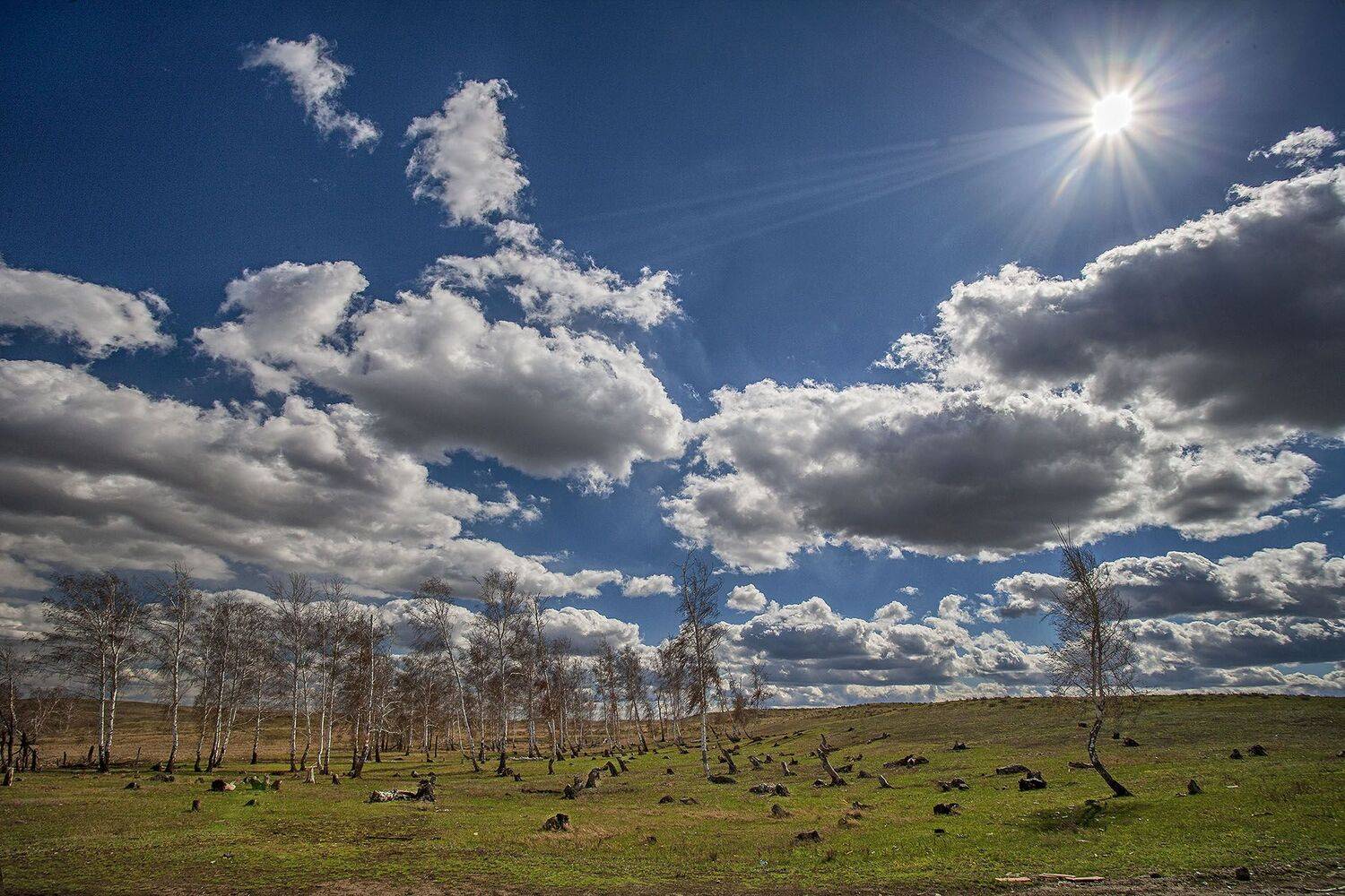 Весенняя. Автор: Качурин Алексей южный урал,оренбургская область, орск, новотроицк,, Качурин Алексей
