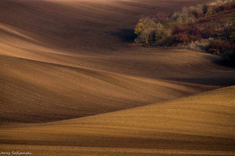 I walk around Moraviaphoto preview