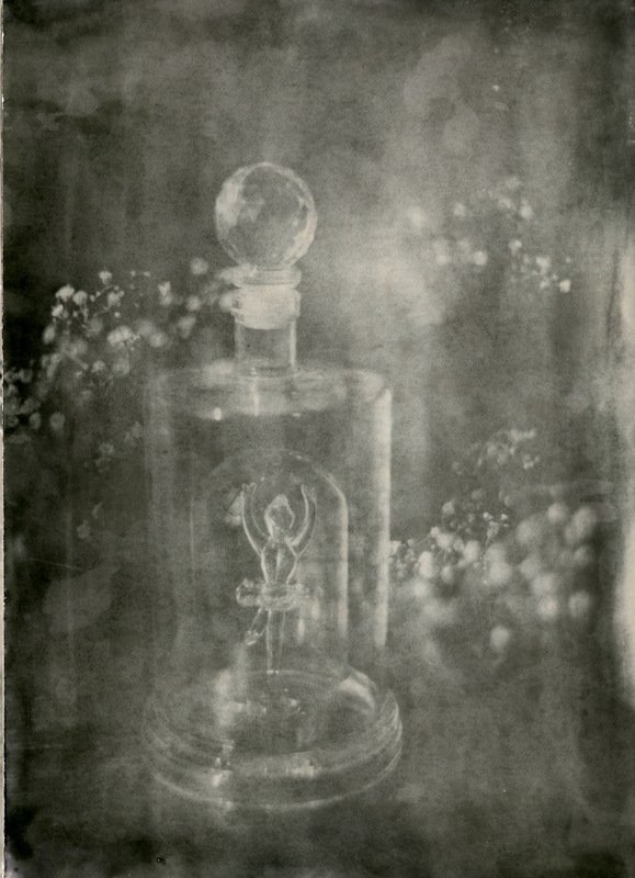 Элегияphoto preview