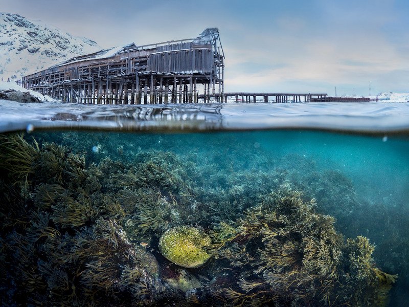зима,север,териберка,подводный,сплит,под водой,природа,фототур,россия,пейзаж Сокровищеphoto preview