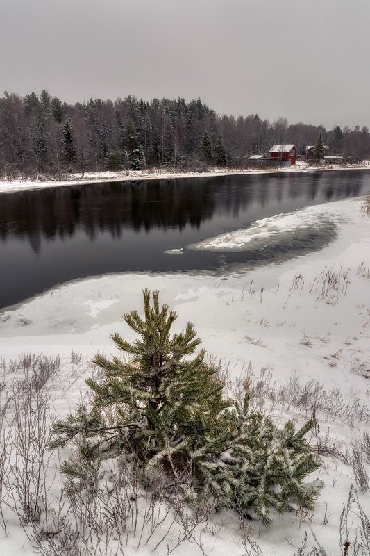 Маленькой ёлочке холодно зимойphoto preview