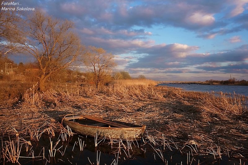 Тихий вечер... фото превью