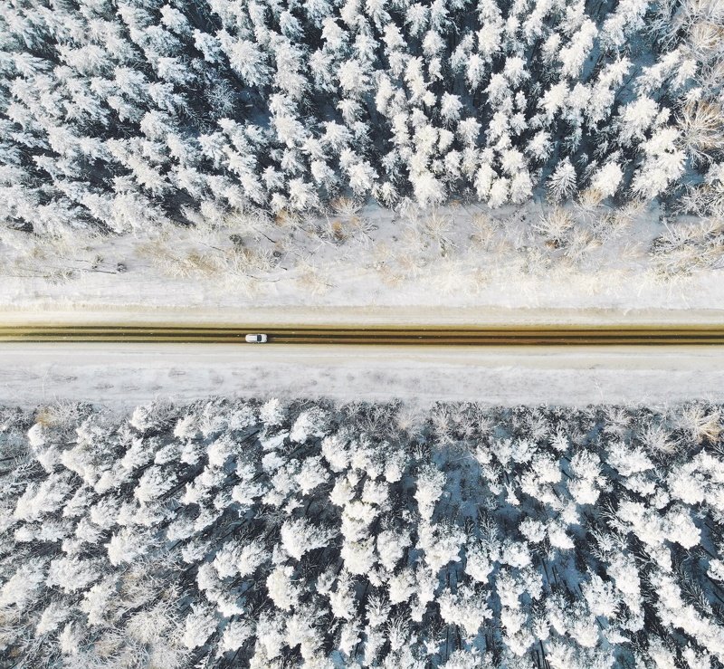 Winter forest roadphoto preview