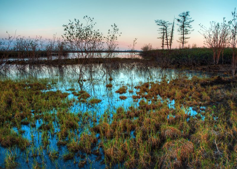 север, арктика, закат, полярный день, пейзаж, болота, российский север, крайний север Весна на севереphoto preview