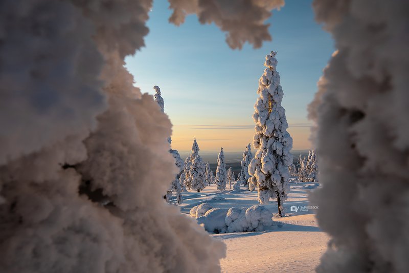Якутия, Нерюнгри, Чульман, Природа, Зима, Снег, Новый год, Мороз, Якутия моя Подсматривая за красавицейphoto preview