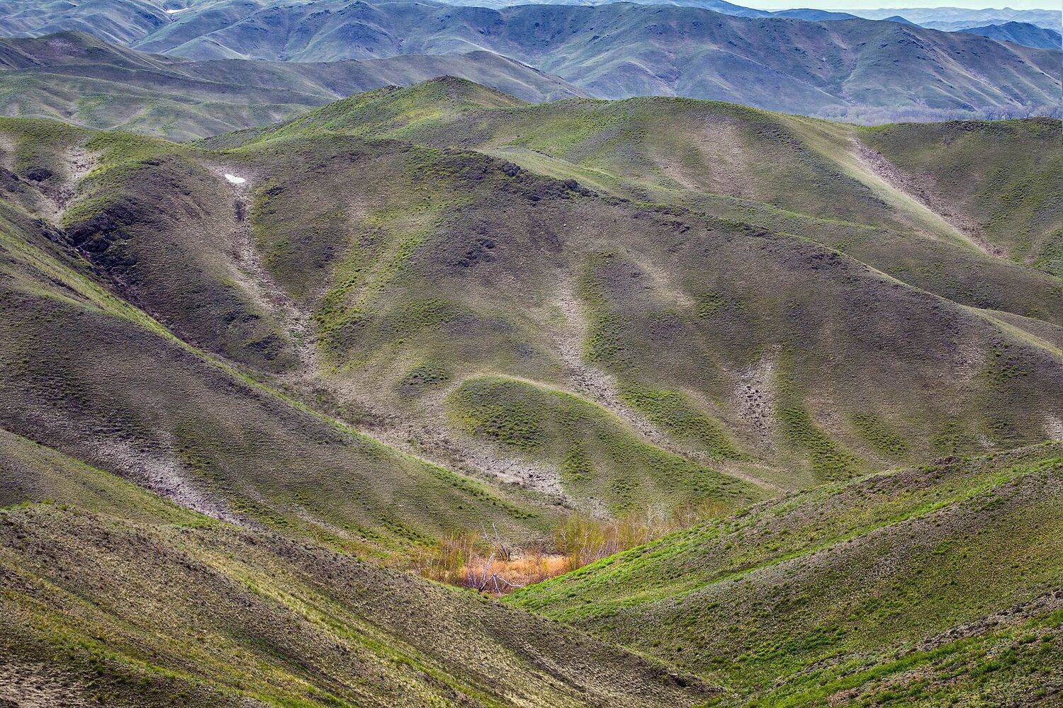 ***. Автор: Качурин Алексей южный урал,оренбургская область, орск, новотроицк,, Качурин Алексей