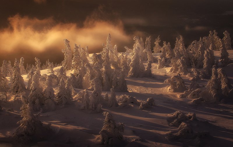 Прощание с зимойphoto preview