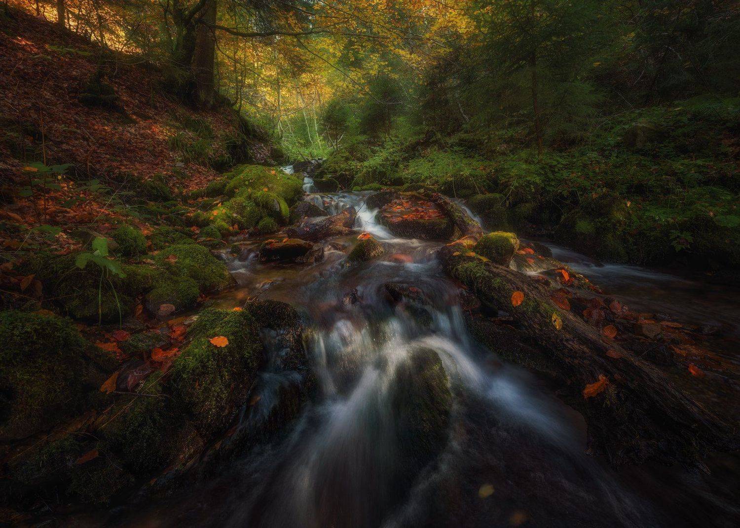 Течение времени. Автор: Ольга Рудченко карпаты, ручей, украина, Ольга Рудченко