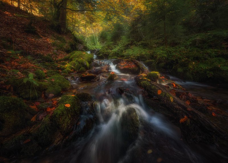 карпаты, ручей, украина Течение времениphoto preview