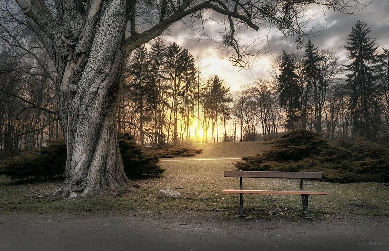 Парк Понятовского. Лодзьphoto preview