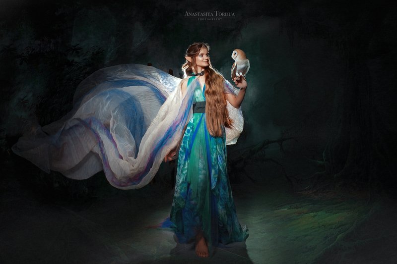 эльф сова сказка Эльфийский мирphoto preview