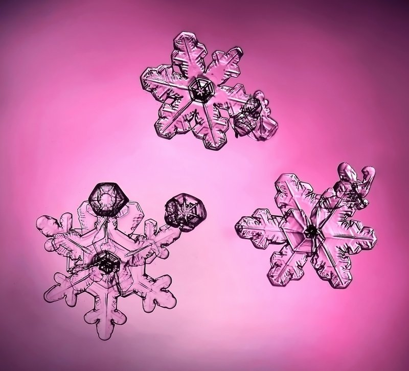 макро, макро мир, снежинки, зимнее макро, волшебство, макросъемка, снег, снежинка, Три девицы...photo preview