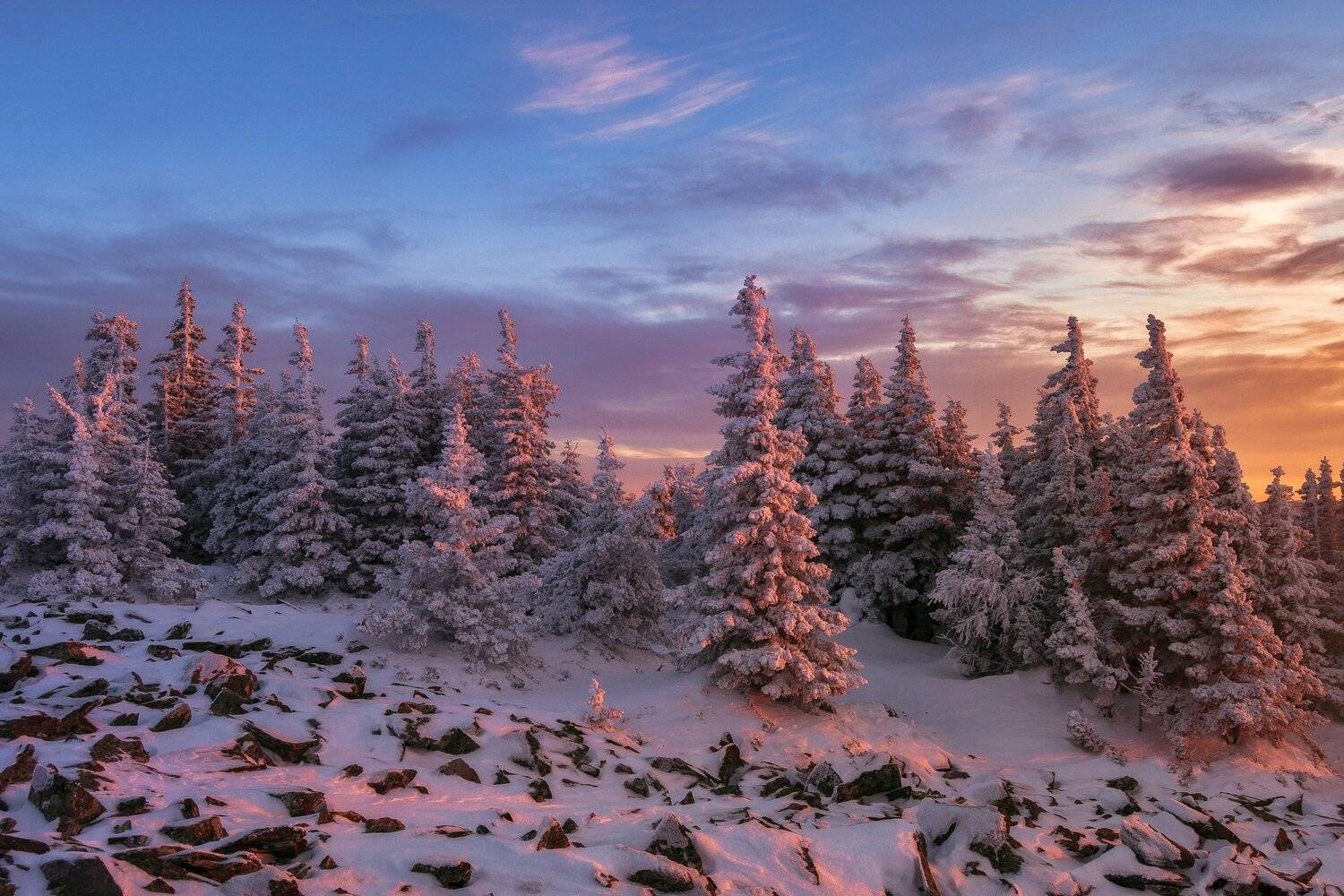 *******. Автор: Андрей Шарапов , Андрей Шарапов