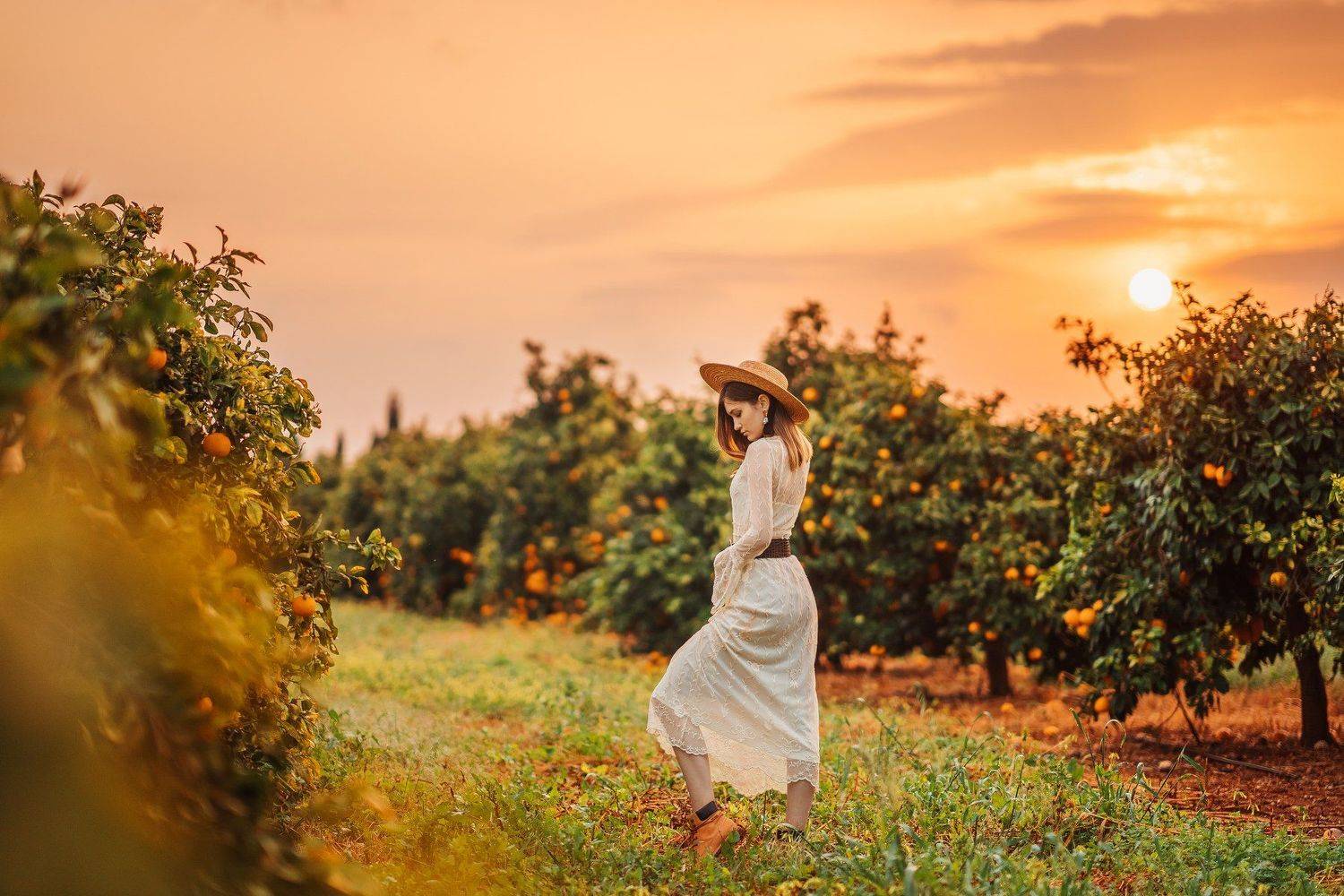 Рассвет. Автор: Катя Lovaphotos Орлова рассвет, апельсиновый сад, женский портрет, кипр, Катя Lovaphotos Орлова