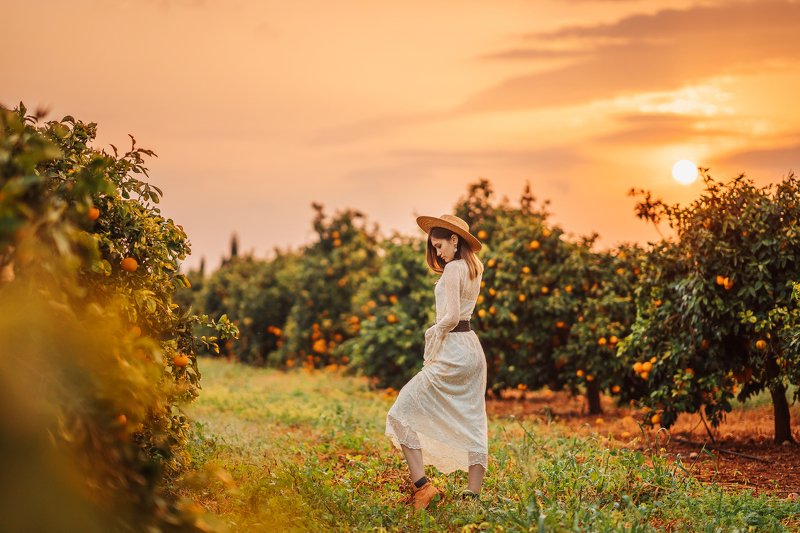 рассвет, апельсиновый сад, женский портрет, кипр Рассвет фото превью