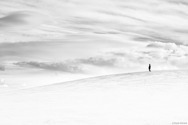 #black_and_white #landscape cold winterphoto preview