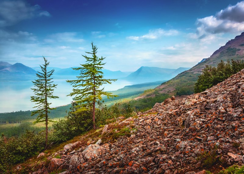 крайний север, север, Арктика, тундра, озеро, горы, полярныйдень, день, деревья Озеро Ламаphoto preview