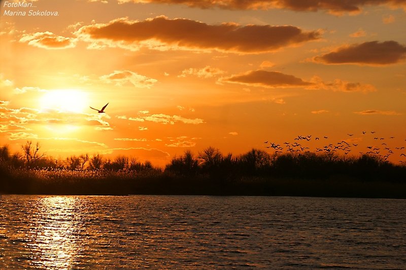 Вечерние краски...photo preview