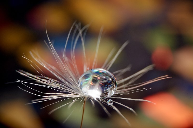 Отражениеphoto preview