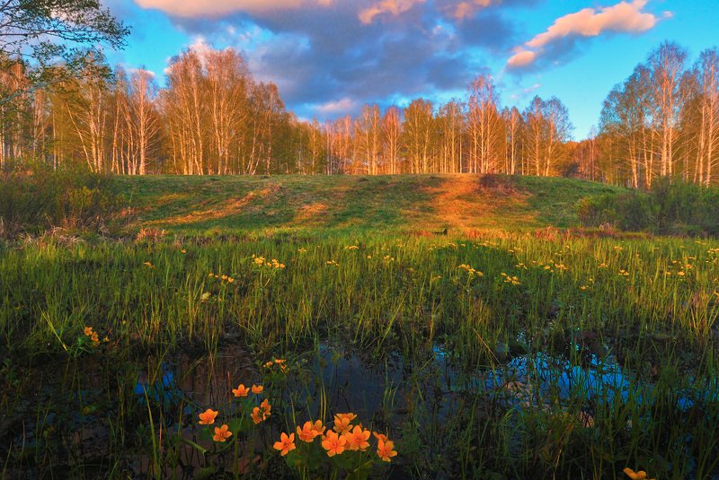 Простенько о веснеphoto preview